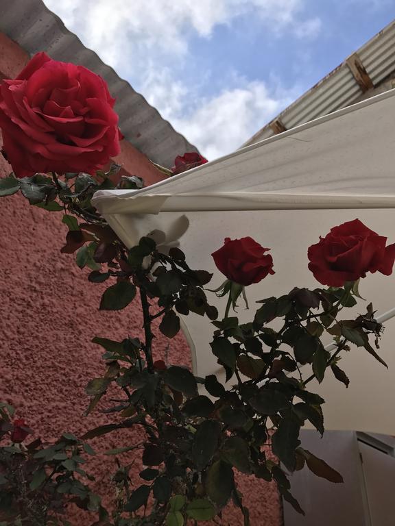 Hostal Avenue La Serena Eksteriør billede