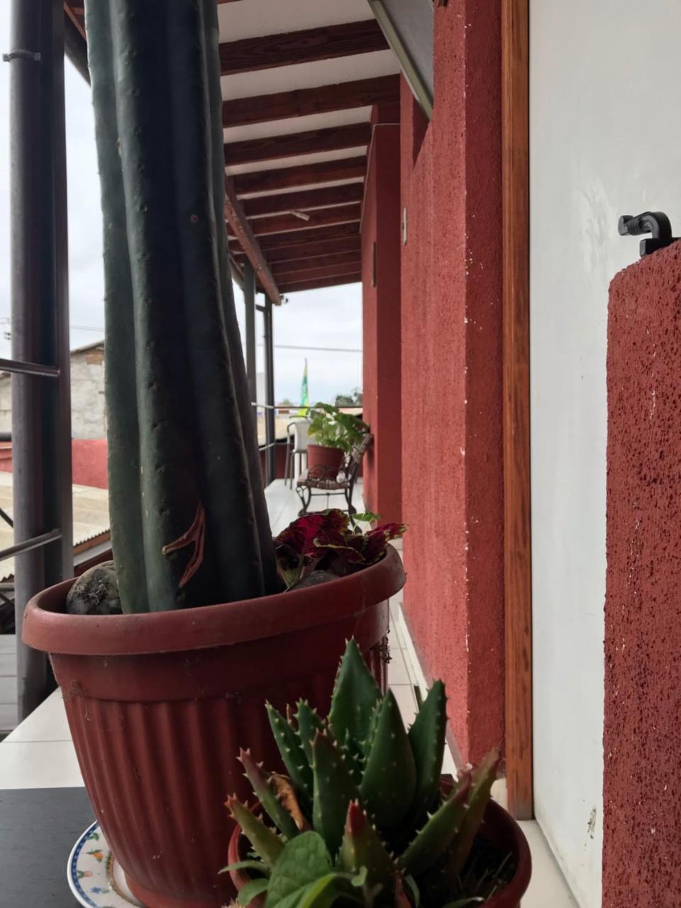 Hostal Avenue La Serena Eksteriør billede